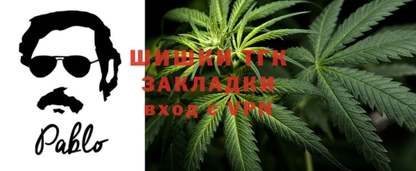 стафф Вяземский