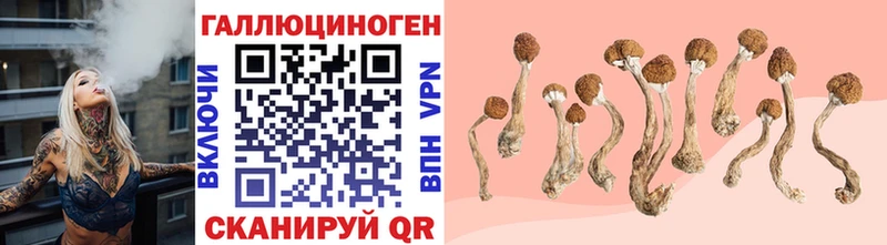 Псилоцибиновые грибы GOLDEN TEACHER  Купить закладки  Евпатория 